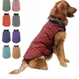 Dog Winter Jackets – XL