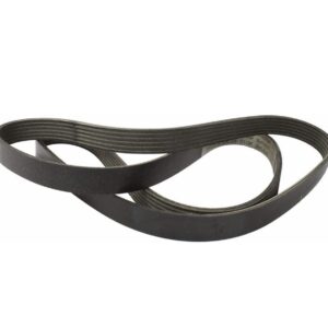 Motorcraft JK6687CD V-Belt