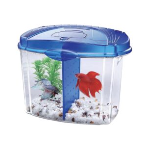 AQUEON Betta Bowl Starter Kit