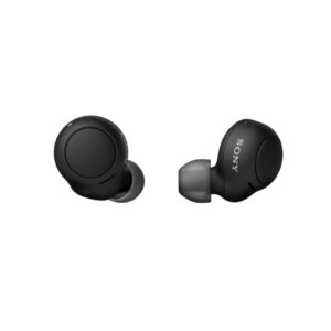 Sony WF-C500 Truly Wireless Earbud