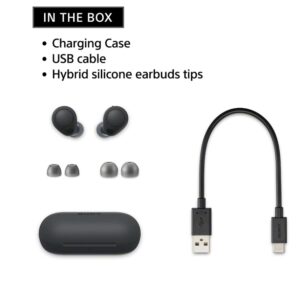 Sony WF-C700N Truly Wireless Noise Cancelling in-Ear Bluetooth Earbud Headphones with Mic and IPX4 Water Resistance, Black